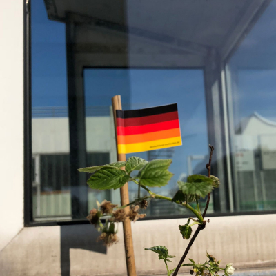 Deutschland Multicolor Flagge-Fähnchen